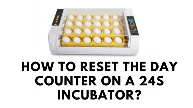 How to Reset the Day Counter on a 24s Incubator?