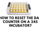 How to Reset the Day Counter on a 24s Incubator?