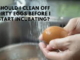 Should I Clean Off Dirty Eggs Before I Start Incubating? (Complete Guide)